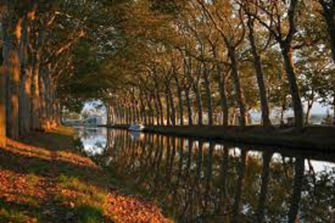 Au Pied De La Cite Apartment Carcassonne Ngoại thất bức ảnh