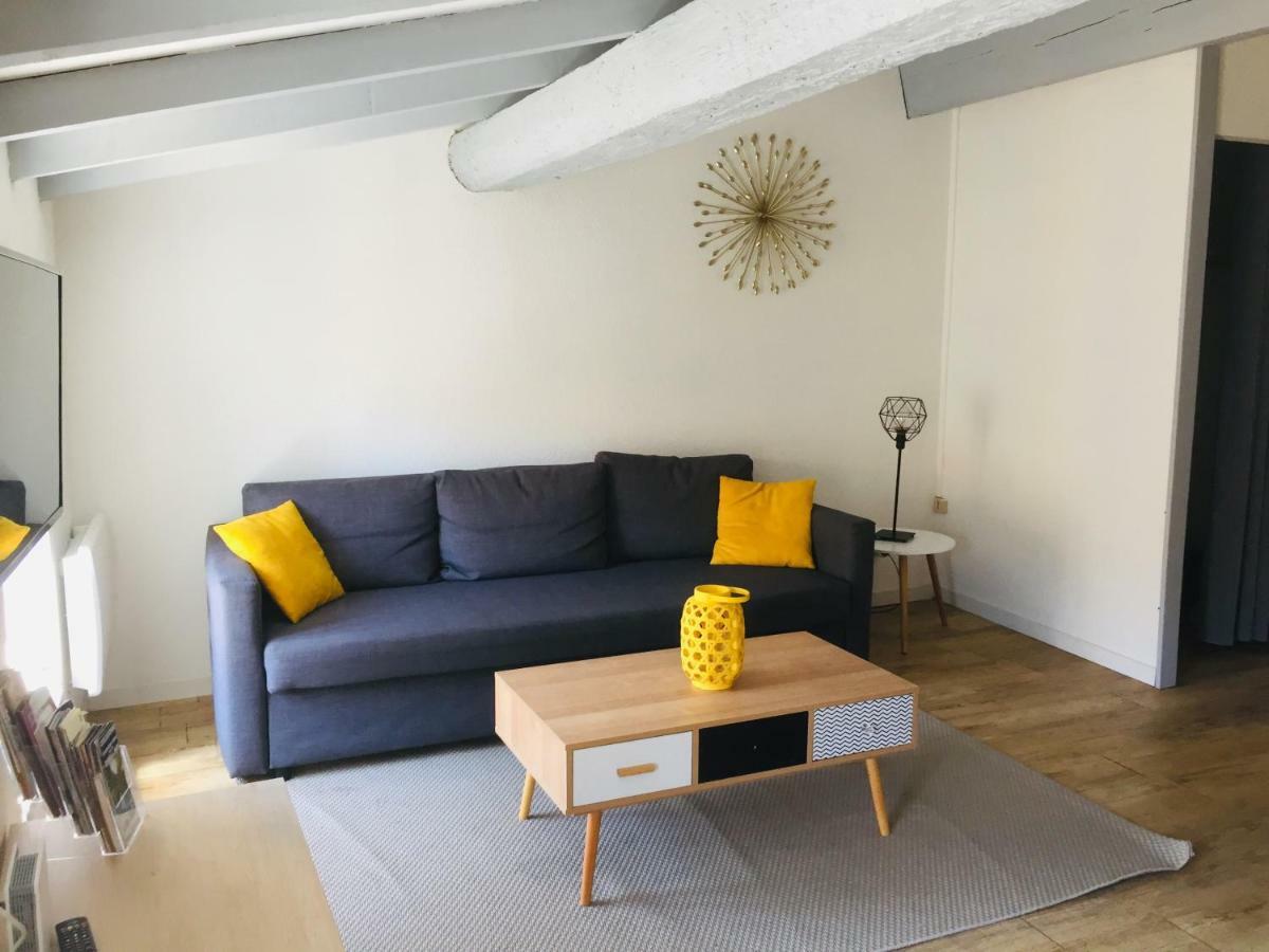 Au Pied De La Cite Apartment Carcassonne Ngoại thất bức ảnh